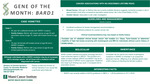 BARD1 by Division of Clinical Genetics - Miami Cancer Institute