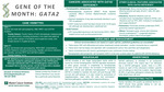 GATA2 by Division of Clinical Genetics - Miami Cancer Institute