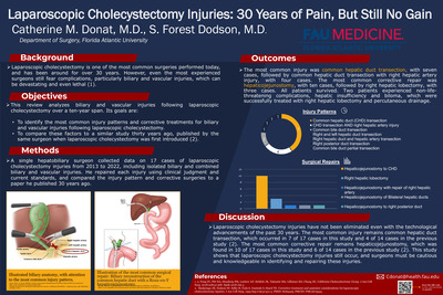 Laparoscopic Cholecystectomy Injuries: 30 Years of Pain, But Still No Gain