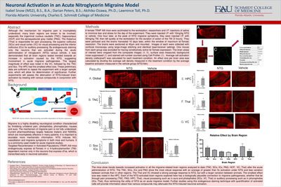 Neuronal Activation in an Acute Nitroglycerin Migraine Model