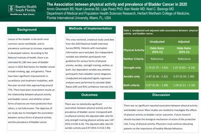 The Association Between Physical Activity and Prevalence of Bladder Cancer