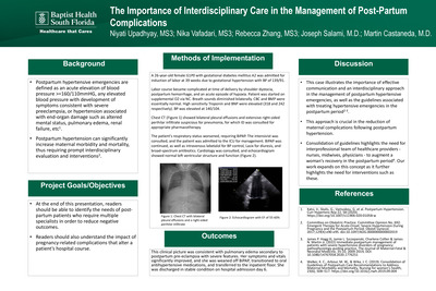 The Importance of Interdisciplinary Care for the Management of Postpartum Hypertensive Emergencies
