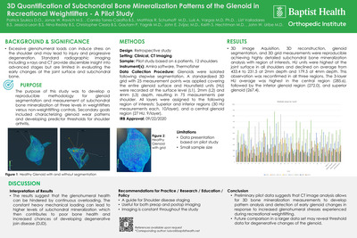 3D Quantification of Subchondral Bone Mineralization Patterns of the Glenoid in Recreational Weightlifters - A Pilot Study