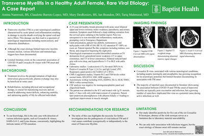 Transverse Myelitis in a Healthy Adult Female, Rare Viral Etiology: A Case Report