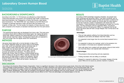 Laboratory Grown Human Blood