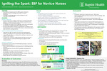 Igniting the Spark: EBP for Novice Nurses by Sandra Bastidas and Diane S. Kramer