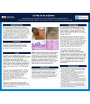 It's Hip to Be a Sphere by Jessica Riopedre