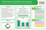 Reduction of Falls in the ED (Quality Improvement Project) by Yasmany Perez, Michelle Isambert, and Shana Sealy