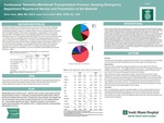 Continuous Telemetry-Monitored Transportation Process: Keeping Emergency Department Registered Nurses and Paramedics at the Bedside by Silvia Clark and Judy-Clarina Bird