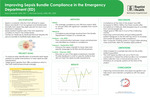 Improving Sepsis Bundle Compliance in The Emergency Department (ED)