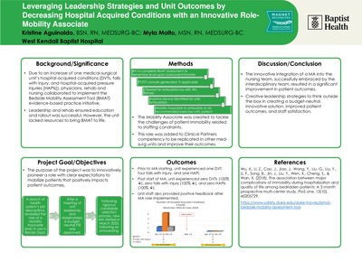 Leveraging Leadership Strategies and Unit Outcomes by Decreasing Hospital Acquired Conditions with an Innovative Role-Mobility Associate